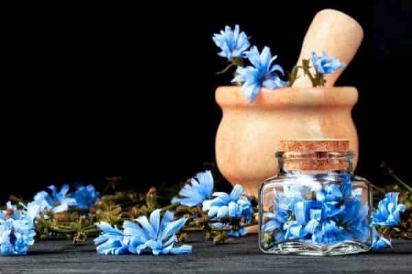 تصویر 3 از فروش عرق کاسنی پامچال + قیمت خرید به صرفه